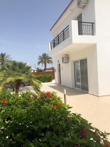 Villa Olivia, Mercan Koyu Dış mekan fotoğraf